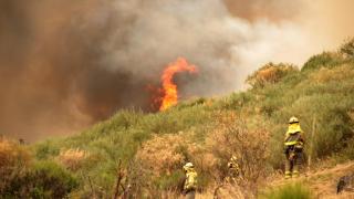 La Junta aumenta hasta el 75% las ayudas a la creación de nuevas empresas en zonas afectadas por los incendios