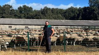 Alberto salvó a sus 800 ovejas del incendio en Sanabria: "Cuando autogestionábamos la sierra nunca pasó nada"