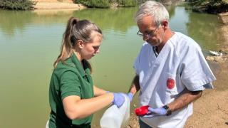 Confirman la muerte de más de 60 gansos en la laguna del Parque del Tamarguillo de Sevilla, que se mantiene cerrado