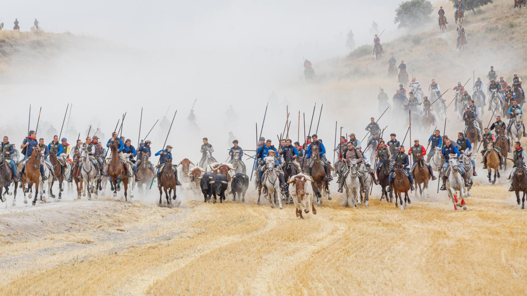 Primero de los encierros de las fiestas de la Virgen del Rosario de Cuéllar