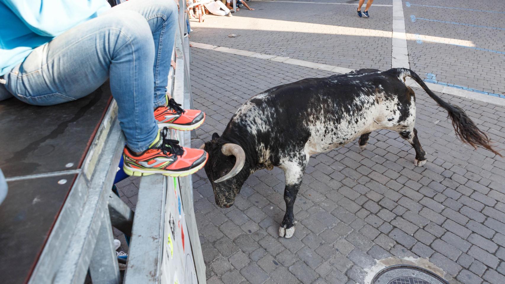 Imagen de archivo de un toro embistiendo una talanquera