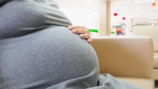 Radiografía de la reproducción asistida, un sector que crece por encima del 5% anual en plena crisis de natalidad en España