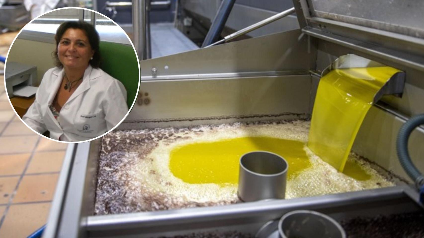 Carmen Vázquez es catedrática de la Universidad de Sevilla y especializada en el aceite de acebuchina (EFE)