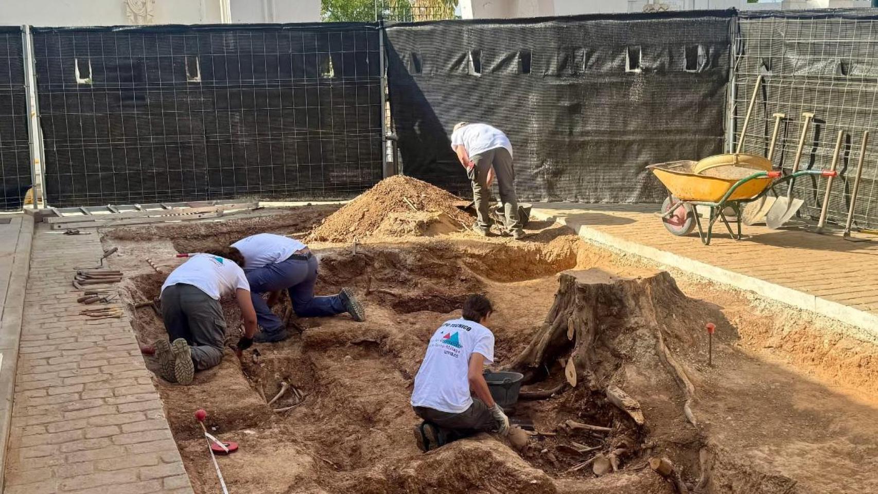 Un momento de la exhumación de cuerpos en una fosa común en Campillos