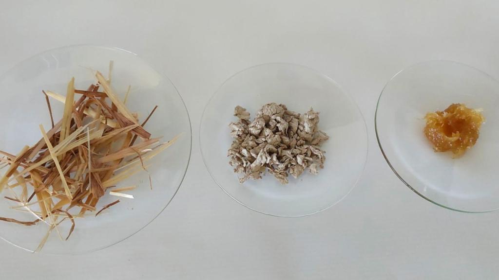 Evolución de la paja de trigo al lubricante semisólido logrado por los investigadores