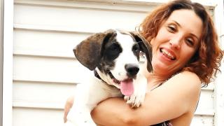 La Dra. Paula Calvo lo deja claro y revela cómo lograr una socialización sin estrés: "Tu perro necesita margen"