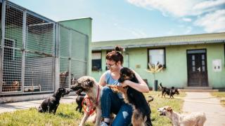 Huellitas, el primer refugio de animales gratuito: un proyecto pionero que salva vidas a cientos de mascotas en México