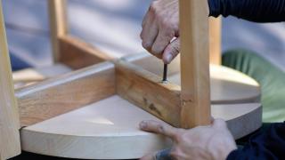 Desde adiestramiento canino a restauración de muebles: todos los talleres socioculturales a los que pueden optar los sevillanos