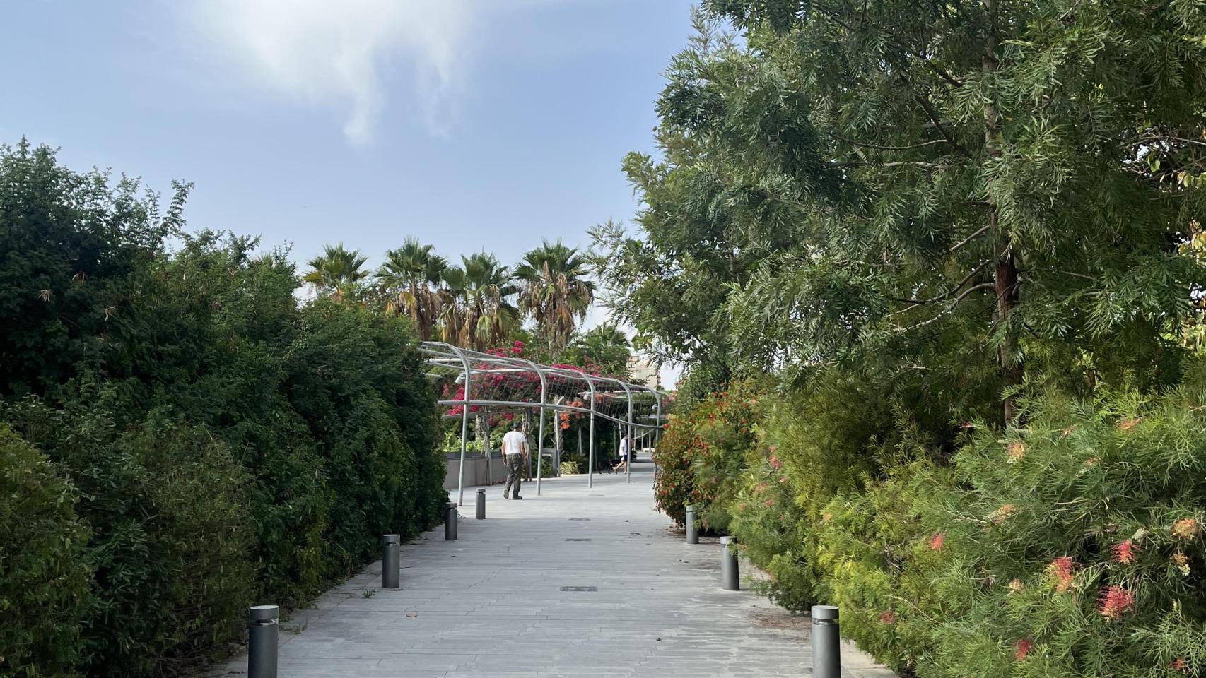 Parque Central de Valencia. EE