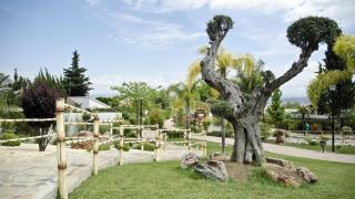 El bonito parque de Málaga ideal para pasear: con 12.000 m², una cascada y un decorado oriental