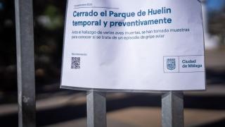 Descartan gripe aviar en Málaga: la muerte de aves en el parque de Huelin fue por el virus de Newcastle