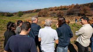 Rueda "va a intentar" que las ayudas a afectados por incendios en Galicia lleguen cuanto antes