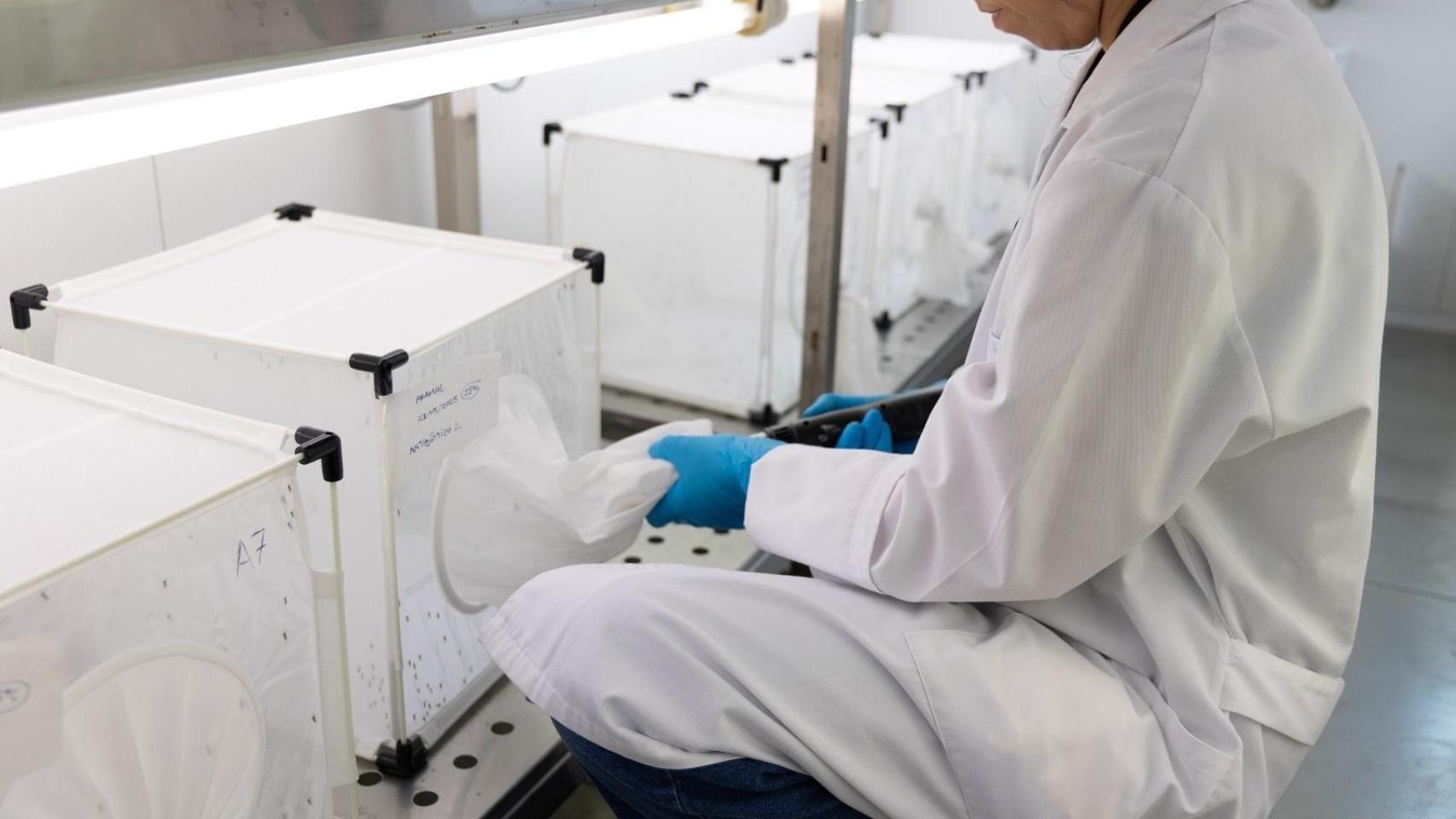 Imagen de científicos con muestras del virus del Nilo.