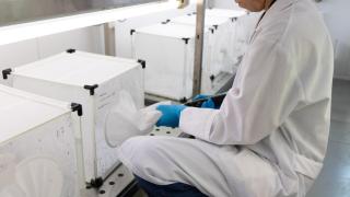 Encuentran mosquitos portadores del virus del Nilo en dos pueblos de Sevilla: se descartan casos en humanos