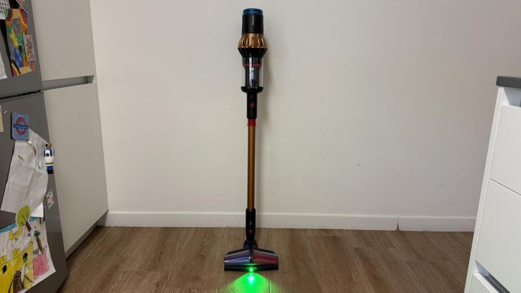 Dyson V16 Piston Animal