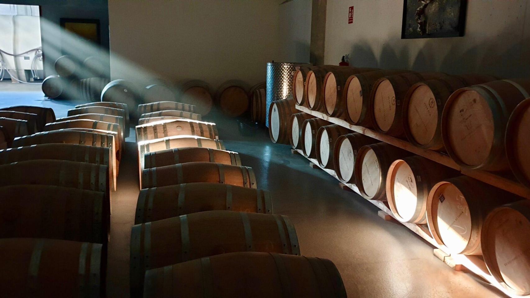 Sala de barricas de Territorio Luthier