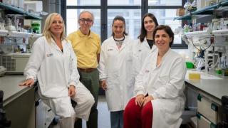 Golpe español al sobrepeso: una nueva terapia experimental activa la 'quema' de grasas y reduce la inflamación