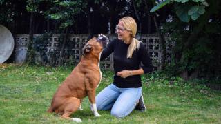 Anika Rytle, la etóloga que defiende la educación canina en positivo: "No vienen preparados para la sociedad humana"