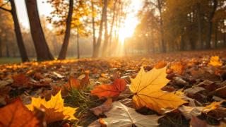 Ya es oficial: día y hora exactos para el inicio del otoño 2025 en Galicia