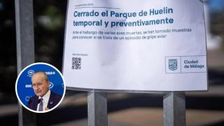 Málaga, a la espera del resultado de los análisis del Parque de Huelin: "La gente en redes crea alarmas innecesarias"