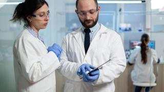 Malas noticias para Estados Unidos: los CDC advierten que esta enfermedad podría ser endémica en el país