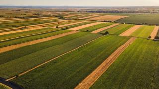 Cómo utilizar los sistemas alimentarios para detener y revertir la degradación de la tierra: las claves de los expertos