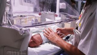 El Gobierno aprueba casi 30 millones para comprar nuevos equipos de neonatología en la sanidad pública