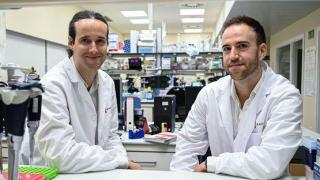 Golpe al cáncer: científicos españoles hallan la "caja negra" que abre la puerta a predecir cómo evolucionará cada tumor