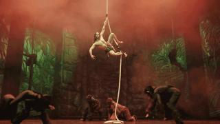 El esperado musical de 'Tarzán' llega a cinco ciudades de Castilla-La Mancha: entradas ya a la venta