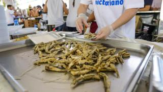 Guía de planes para el fin de semana en Málaga: festivales gastronómicos, mercadillos y fiestas populares