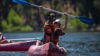 Kayak, mercado 'vintage' y pueblo medieval: los mejores planes para hacer con tu perro este fin de semana