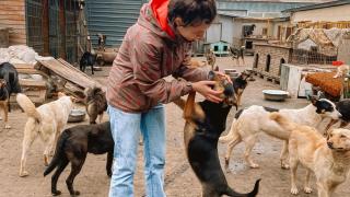 Vet Crew, el refugio que salva animales entre las bombas en Ucrania: "No podemos irnos; hay demasiados abandonados"