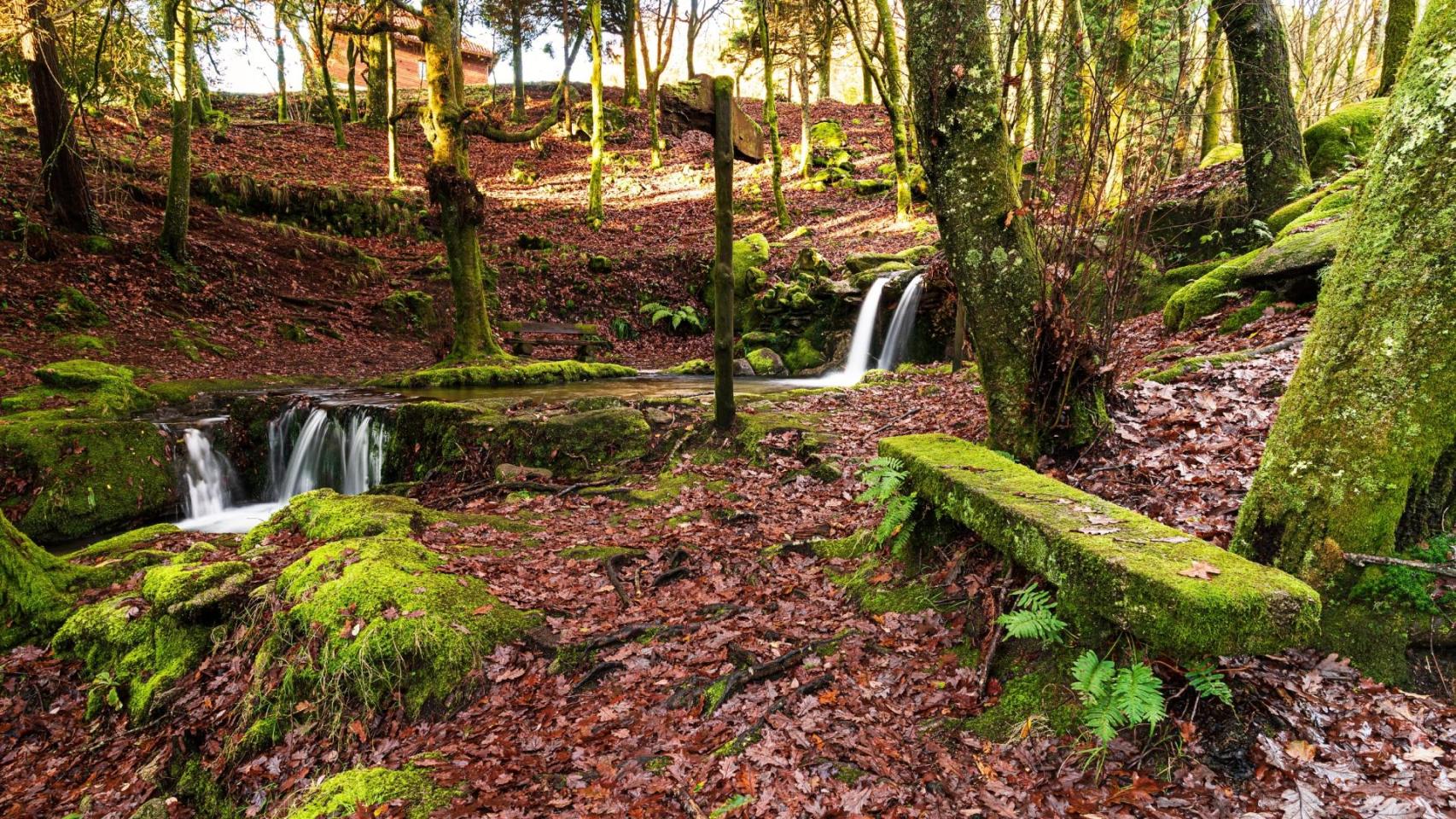 Parque Natural de Monte Aloia
