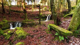 El increíble rincón cerca de Vigo que debes visitar este otoño: "Una escapada de naturaleza"