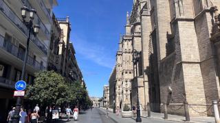 Los planes del Ayuntamiento para "darle una vuelta" a la Avenida de la Constitución más allá de los toldos