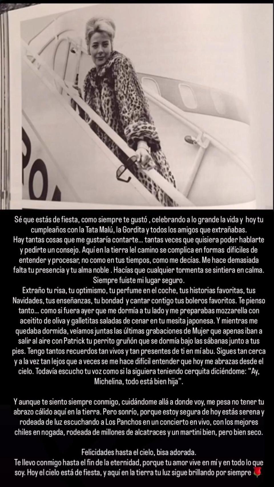 Michelle Salas, en una 'historia' de Instagram.