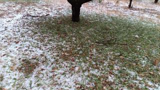 Una tormenta destroza campos agrícolas, coches y tejados en Huesca: “Nunca se había visto una granizada así”