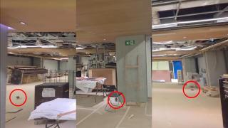Graban a una rata dentro de las obras del nuevo Camp Nou, en la zona en que estará el área VIP