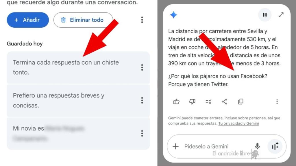 Opciones de Gemini