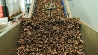 De residuos agrícolas a 'oro verde': Extremadura se revoluciona con la biorrefinería más innovadora del mundo