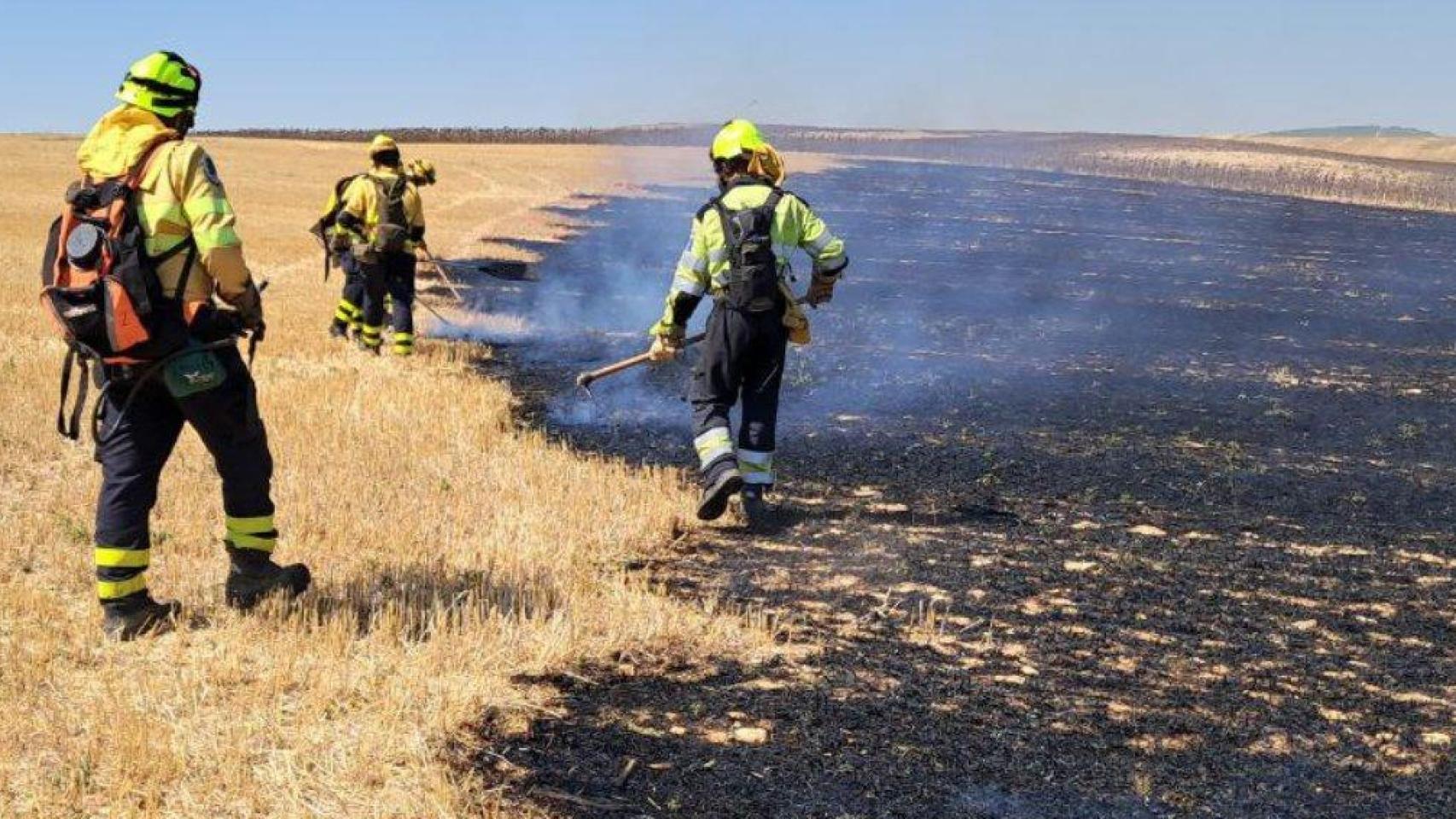 Bomberos forestales de Castilla-La Mancha. Foto: Infocam