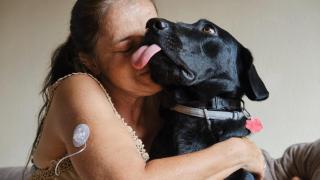 Un educador aconseja la mejor raza de perros para tutores primerizos: "Es sociable, cariñoso, inteligente y muy leal"