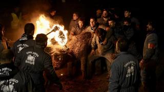 El TSJCyL levanta la medida cautelarísima que impedía celebrar el Toro Jubilo de Medinaceli