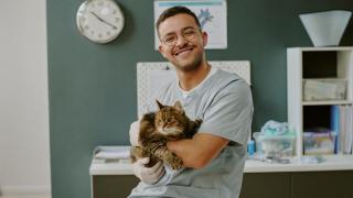 Un veterinario desmiente los mitos sobre la comida húmeda de los gatos: "Si es de calidad, no es como una golosina"