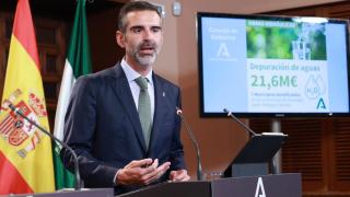 Andalucía tiene once focos de gripe aviar entre Sevilla y Huelva, pero no detecta nuevos casos desde hace dos semanas