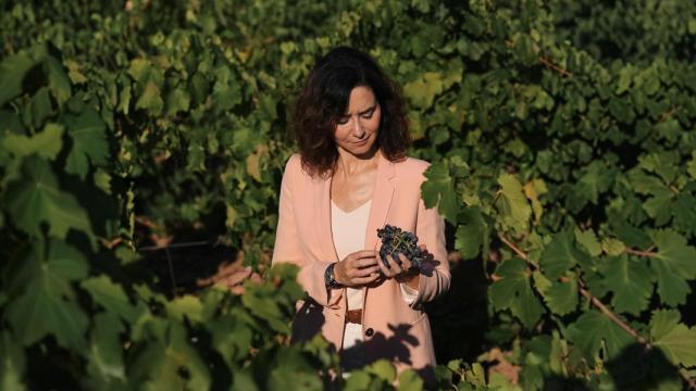 La presidenta de la Comunidad de Madrid, Isabel Díaz Ayuso, este miércoles en Alcalá de Henares, en la finca El Encín del Instituto Madrileño de Investigación y Desarrollo Rural, Agrario y Alimentario (IMIDRA).