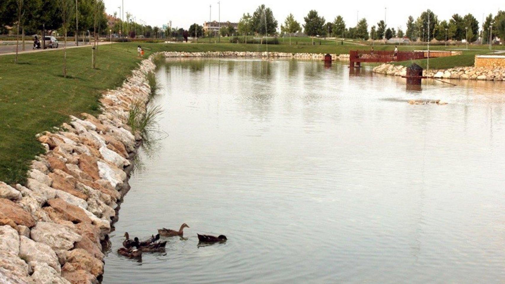Lago del parque Valdeluz en Yebes (Guadalajara).