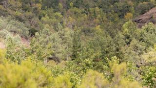 El otoño será en Galicia "más cálido y más seco de lo normal"