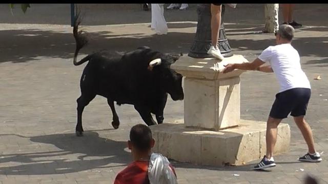 Encierros de Mondéjar.