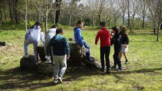 El Centro de Arte Fundación María José Jove invita a los colegios gallegos a "aprender del bosque"